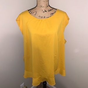 NWOT Loft Plus Size Top